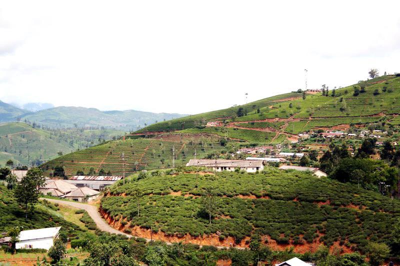 Sri Lanka, Nuwara Eliya